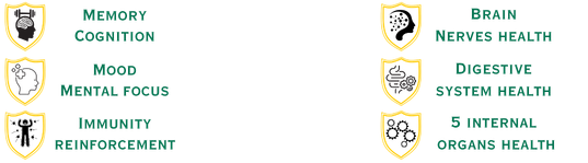 Lion's Mane benefits